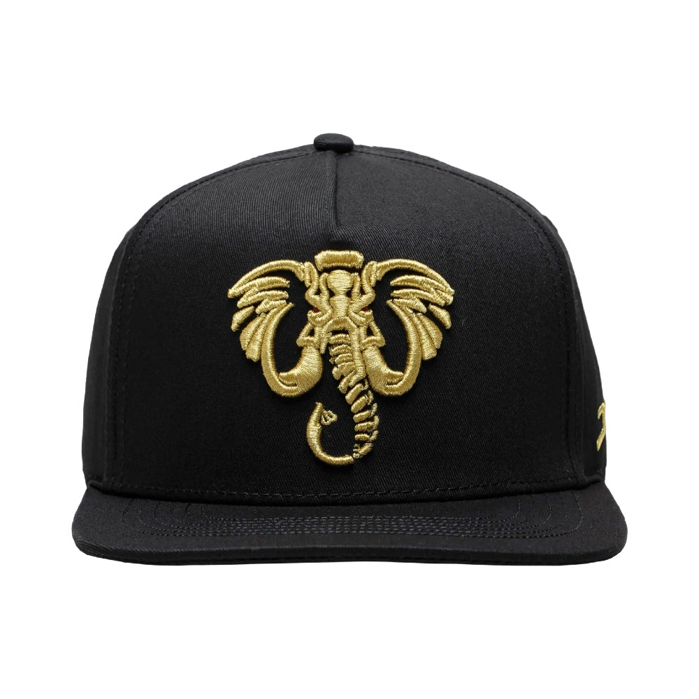 Gorra JC Hats Elephant Negro