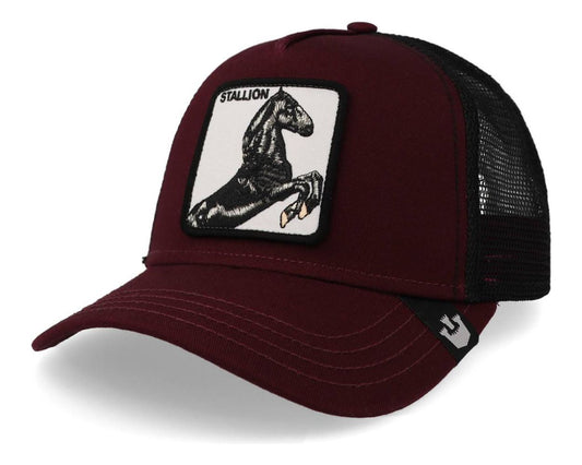 Goorin Bros Caballo "Stallion"