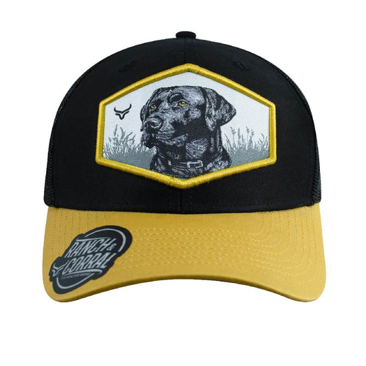 Gorra Ranch & Corral Dog Breeds Black Labrador